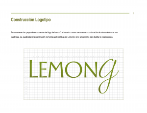 LemonG Guidelines